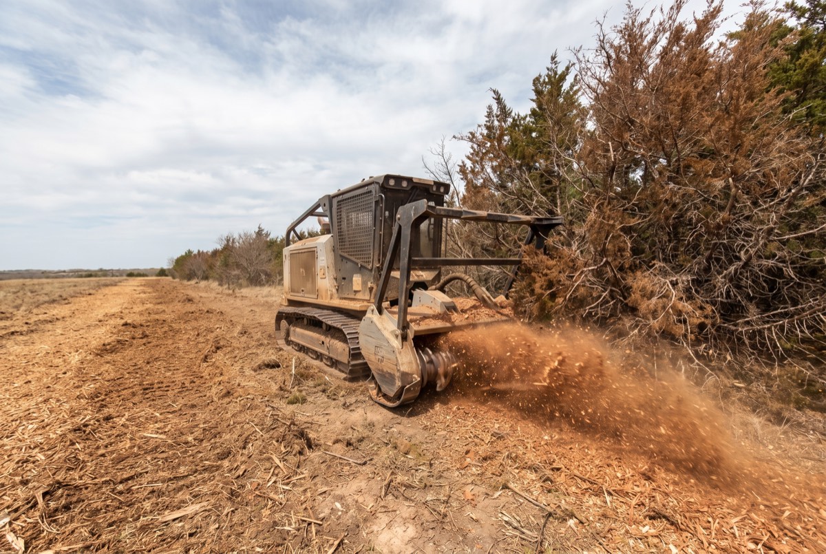 Forestry mulcher clearing dense cedar thicket on Grayson County, TX ranch land